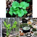 용화2리 이미지