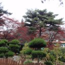 국립마산병원 이미지