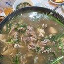 난능이넌옻닭 | 대구 365식당 능이오리백숙 진한 국물에 반한 몸보신 맛집 후기