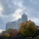 일산병원 정류장 이미지