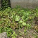 다경하녹 | [담양 여행] 담양 독채 감성 숙소 촌캉스 숙소 추천 다경하녹