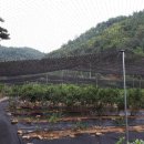 경담농장 이미지