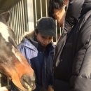 종천(서울)