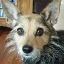 마마동물병원 이미지