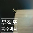 조일치과기공소 | 부직포복주머니,복주머니,부직포,양줄복주머니 - 153포장