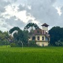 가인하우스 - 남구 달삼로76번길 21-1 | [발리 여행] 가성비 숙소 우붓 쿠 게스트 하우스 후기 | Ubud Ku Guest House