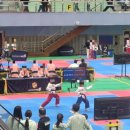 경희대 성훈 태권도 2 | [강원 홍천] 2025 한국초등연맹회장기 전국초등학교 태권도대회 1일차 (25.10.18~10.22)