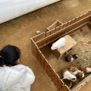 처인성로 | 일상, 용인 무럭무럭농장, 아이방 인테리어