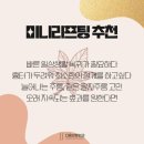 다움성형외과의원 이미지