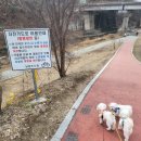 덕소유수지 생태공원 | 겨울이여름이가을이네가 남양주시에 있는 덕소유수지생태공원에 와서