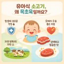 심다누팜 | (유아식) 목초한우 유기농방목마켓 온라인주문 후기