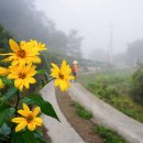 성곡1리 경로당 이미지