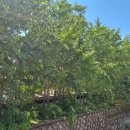 호재목장 이미지