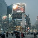 원어민일어 이미지