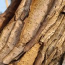 너랑나랑어린이공원 이미지