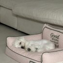 개릿뷰티 이미지