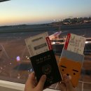 [인천->나트랑] D-DAY 휴가 시작! 비엣젯항공 탑승 후기/VietjetAir/베트남 여행/깜란공항/공항버스
