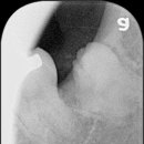 나노치과의원 이미지