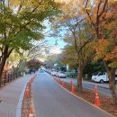 백암 2교 이미지