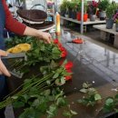 금호농원 이미지