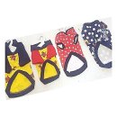 스타애견 이미지