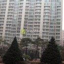 문정로-12 Daum카페