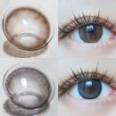 눈빛안경콘택트 | 다비치렌즈 13.9mm 러블리한 눈빛 라이트 빅플 브라운 그레이 발색 후기