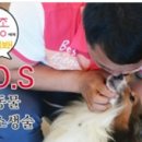 애니팜약국 이미지