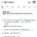 웰니스레포츠