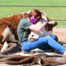 안고농장 이미지