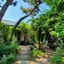 솔향기가득한집 이미지