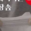 키위픽