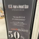 보그헤어 앤 헤드스파