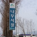 &#34;산림조합 나무시장&#34; 지금 산림조합에 가면 꿈나무를 사실 수 있습니다 ! 이미지