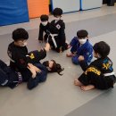 용인대 특전 합기도 이미지