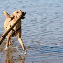 생활영어회화(초급2) 이미지