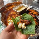 인천 간석동 연탄불쭈꾸미 맛집, 주선 술집 감성포차 후기!