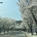 샘마을 쪽 이미지