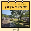 퇴촌면-4 | [경기광주 오르빛정원] 광주캠크닉 당일치기 퇴촌면캠핑장 장점부터 단점까지 내돈내산 솔직후기