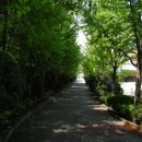 백암고등학교 이미지