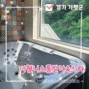 조은이웃마트 | 가평독채풀빌라 더웰니스, 프라이빗한 힐링을 선사하는 가평독채빌라 추천!