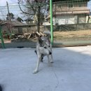 와이낫양양 이미지