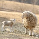오월학교 이미지