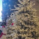 씨뷰 | 인천 네스트호텔 사우나 편의점 슈페리어 더블 씨뷰 후기