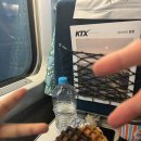 오동도뷰펜션 | 뚜벅이의 1박2일 여수여행 후기 (오동도/향일암/하멜등대/꽃돌게장1번지)