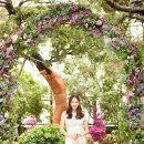토브디자인 이미지