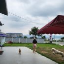 예당 앤 다울 이미지