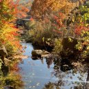 뽀빠이치킨 이미지