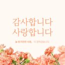 용인대 새봄 태권도 이미지