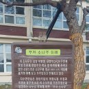 지수초등학교옆 상업지 땅매매 이미지